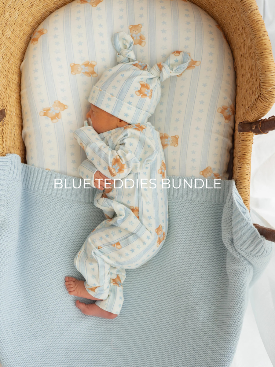 Blue Teddies Bundle