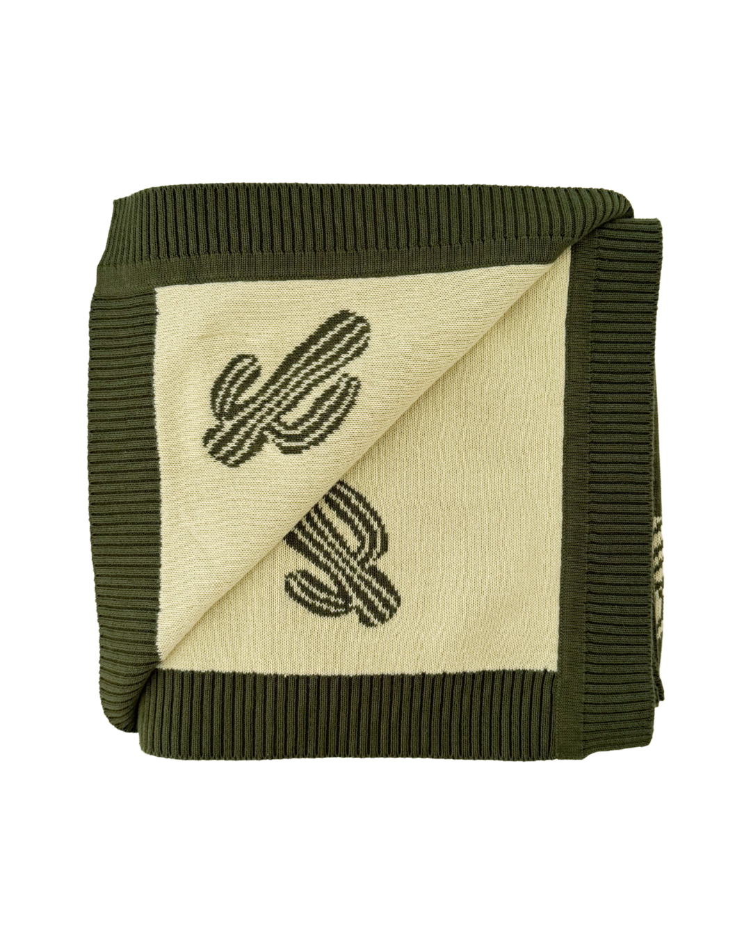 Border Knit Blanket | Cactus