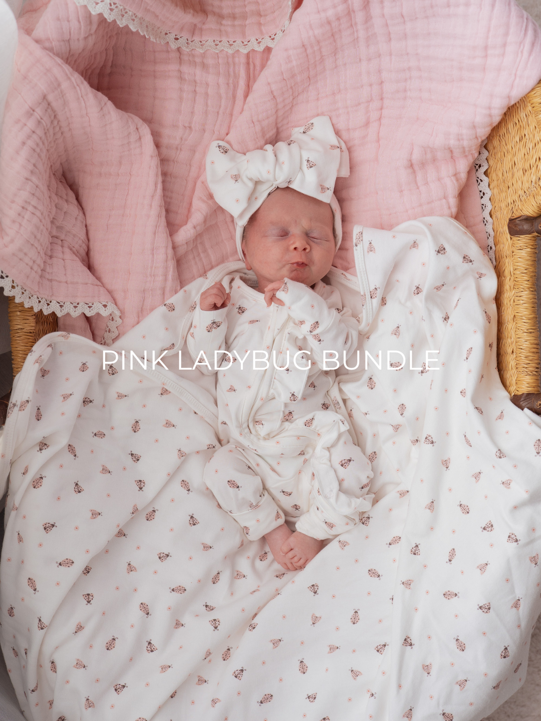 Pink Ladybug Bundle