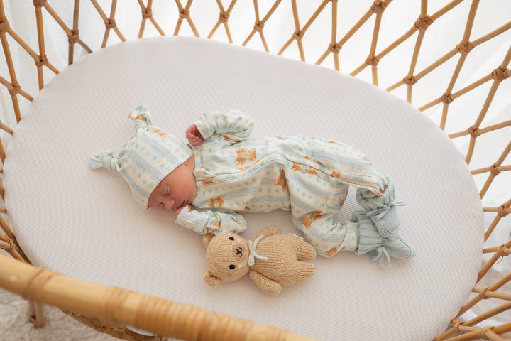 Zip Romper | Blue Teddies