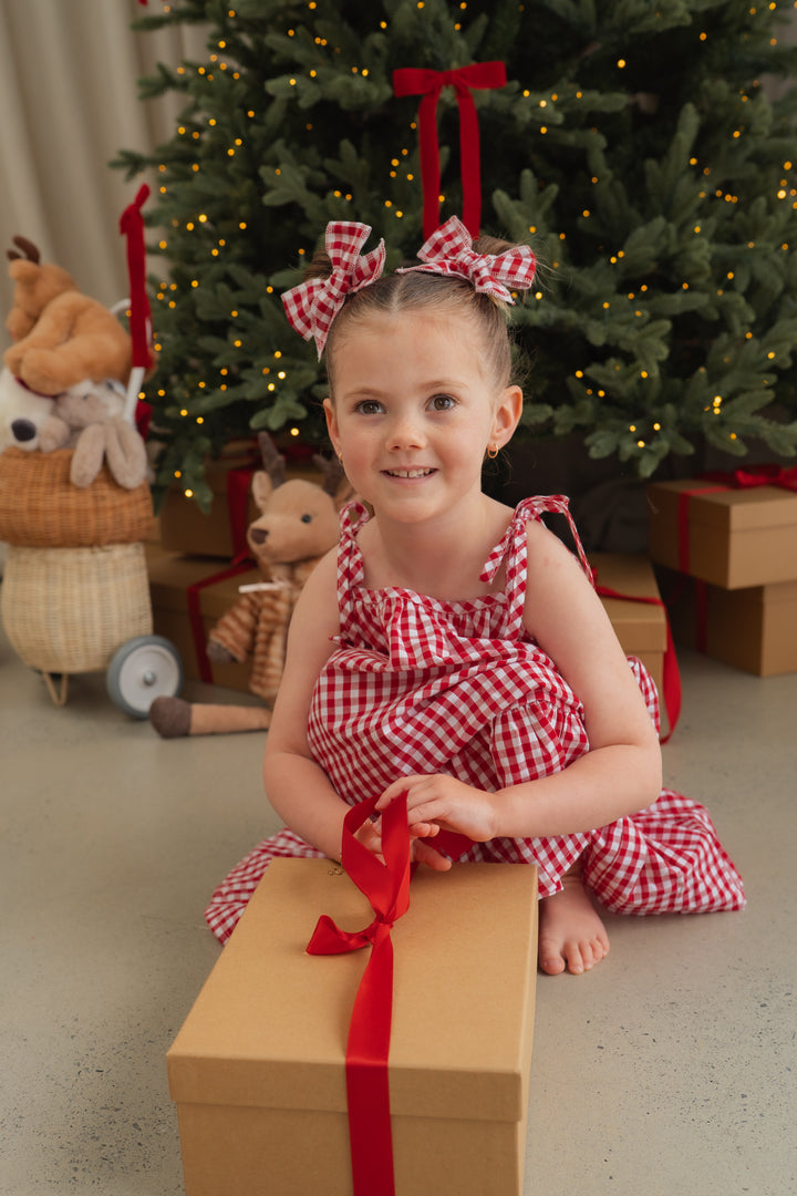 Tie Dress | Red Gingham