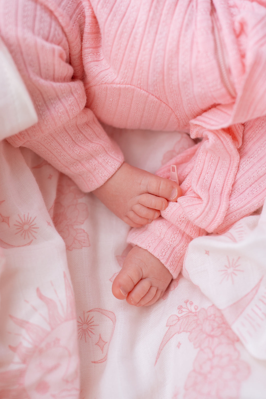 Frill Zip Romper | Peony Rib Pointelle